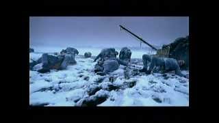 Morandi -- Falling Asleep [Official music video]