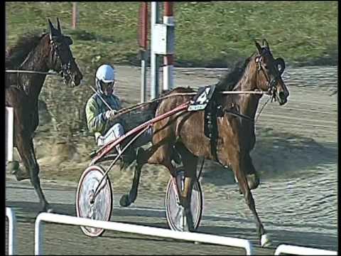 Trotto 27/12/2016 - 1ª corsa