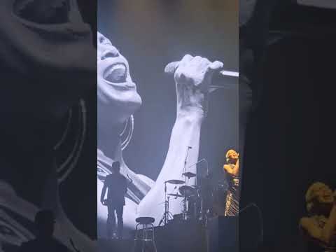 Nile Rodgers & CHIC ft Kimberly Davis LIVE at Yokohama, Japan 2025 @shessangzacademy