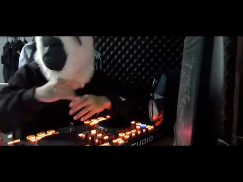 ADA SATU NONA 🌴 VIRAL TOK TOK REGGAE JUMP 🌴_JOSUA KAKOMBA X RHYAZ DUNGIO X YUDA RANTI 2023