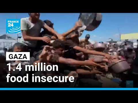 Hunger and malnutrition stalk Gazans, a year on from ceasefire