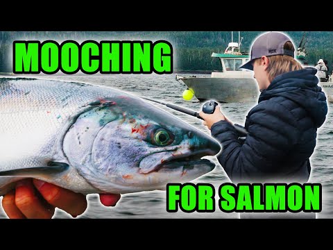 Mooching 101: The Ultimate Salmon Fishing Technique Explained By Cast Alaska Fishing Lodge 