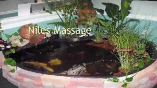 Niles Massage