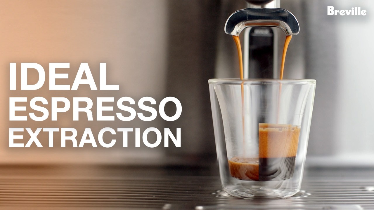 Breville coffee guide tutorial - Ideal Coffee Extraction