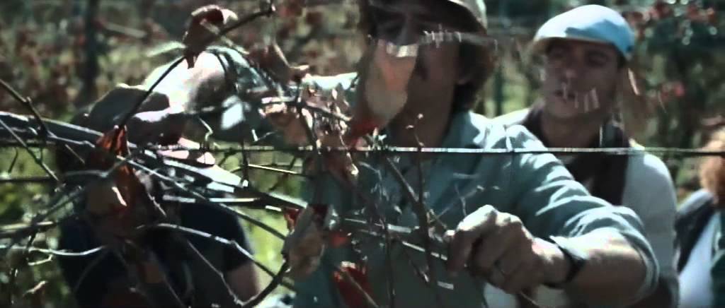 La nostra terra - Trailer