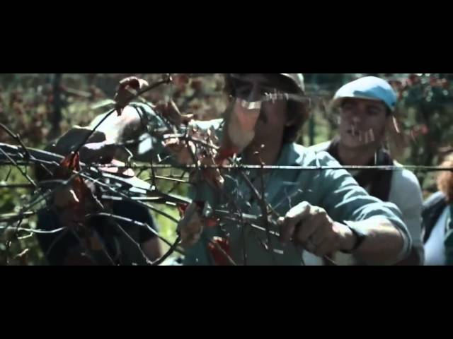 La nostra terra - Trailer