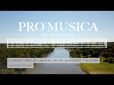 Virtual Vignette #4: Brahms Clarinet Trio, Movement 1
