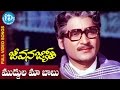 Jeevana Jyothi Songs || Muddula Maa Babu Video Song || Sobhan babu | Vanisri || KV Mahadevan