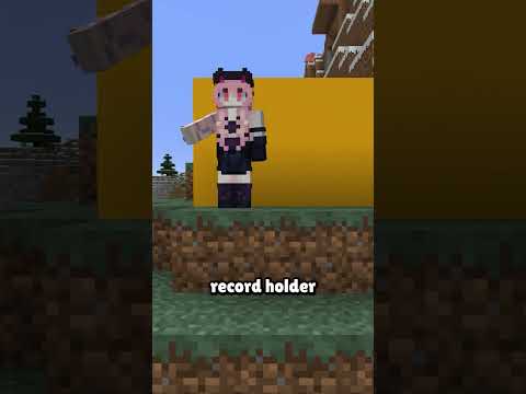 The Perfect Speedrun.