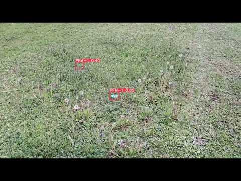 YoloV5m PFM-1 mine detector exp031