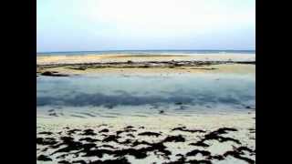 preview picture of video '180 view of Anda Beach, Bohol Philippines'