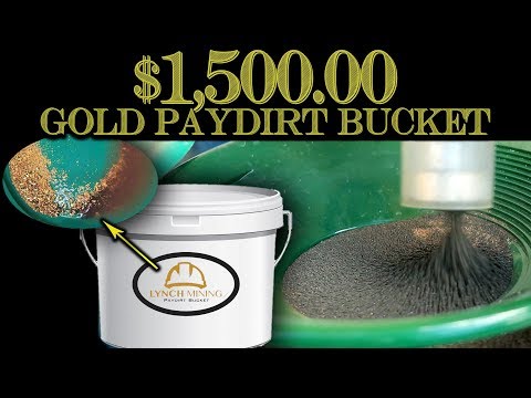 I Spent $1,500.00 for Dirt!?