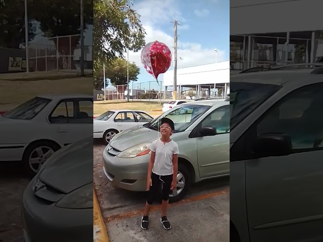 Vídeo relacionado con Globo de aluminio seta, 6 unidades rojo, globos helio cumpleaños, setas forestales, fiestas al aire libre