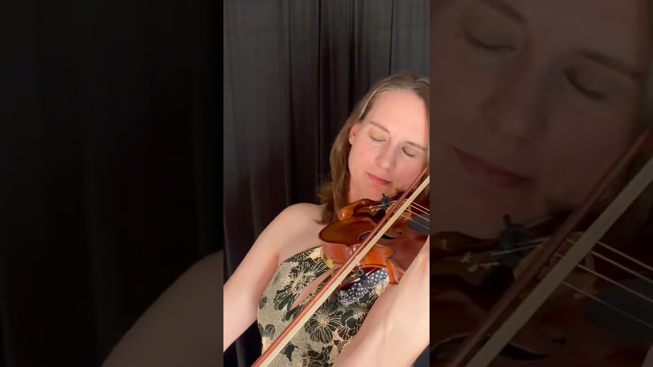 Promotional video thumbnail 10 for Wake Forest Violin
