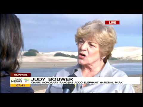 It's a priviledge to be part of SANParks: Judy Bouwer