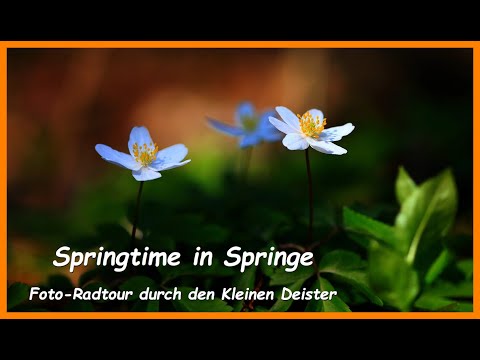 Springtime in Springe - kurze Foto-Radtour durch den Kleinen Deister.