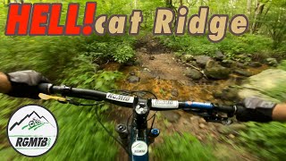 OMG this ride kicked my butt! | Wildcat Ridge Mountain Bike Ride | Santa Cruz Nomad