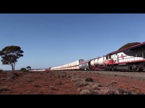 SCT001-SCT012 working a Perth bound freighter seen East of Kalgoorlie - 29th of May 2010