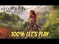 Horizon Forbidden West Burning Shores