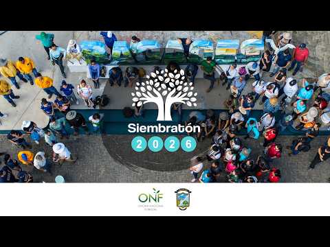 Resumen Siembratón 2026, Bagaces, Guanacaste