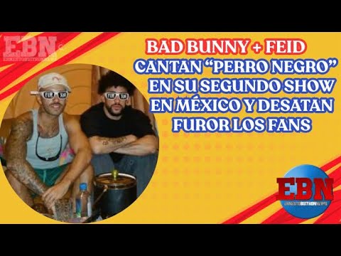 🎤🔥 Bad Bunny + Feid cantan “Perro Negro” en su segundo show en México y desatan furor los fans 😱🇲🇽