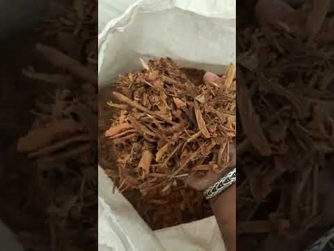 Bits broken cinnamon, packaging type: plastic bag, packaging...