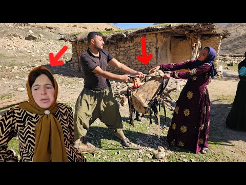 Asghar's concern for the cobra:💔😱😡 Asghar's efforts to save the cobra