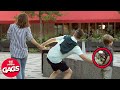 Les Gags Les Plus Drôles Juste Pour Rire Les Gags