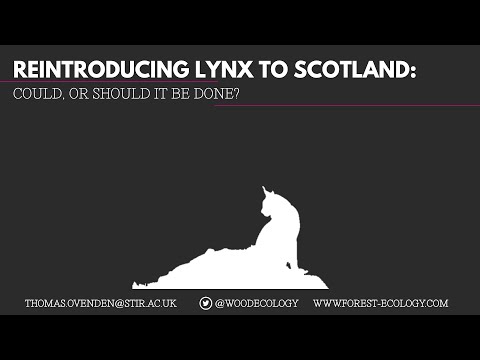 Reintroducing the lynx to Scotland - Can we reintroduce lynx to Scotland?