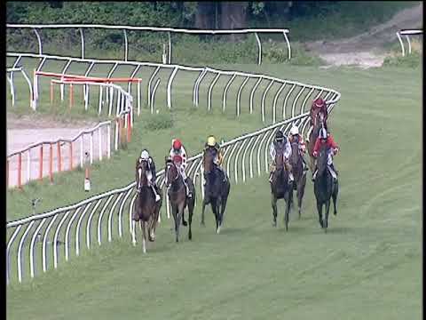 Galoppo 11/06/2019 - 4ª corsa