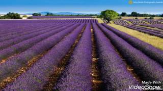 the brilliant green   ｢there will be love there ～愛のある場所｣原曲