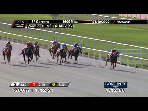 221001 c03 ARROGANTE