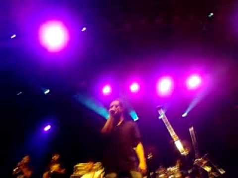 Planta e Raiz - Amor e Paz - Encontro das Tribos