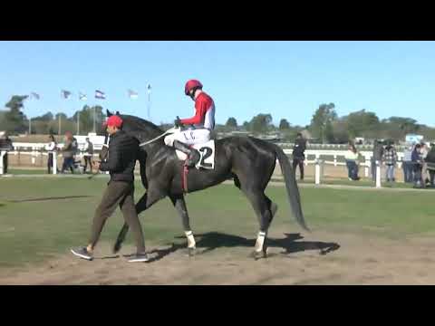 CARRERAS SINT PAYSANDU 220811 c07 1° POR TACAÑO