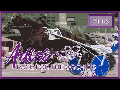 2023 Adios Elims - 3CP