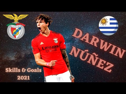 [Darwin Núñez]🇺🇾 Best skills 2021 Benfica
