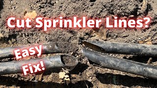 How to fix a cut sprinkler line.