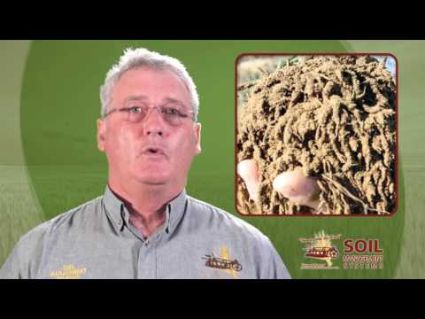 Cropping Inputs, Diary Number 1