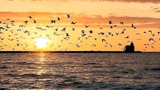 Swing Out Sister - La la la la la Means I love You