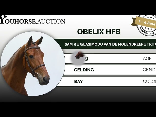 Obelix HFB