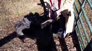 Don't let this be goodbye