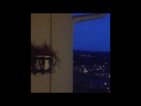 144. Vegard - Vente [Wait] [20.04.2017]