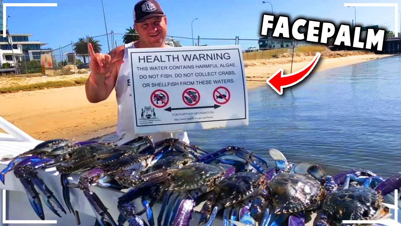 r/facepalm | DO *NOT* TOUCH - DANGER!