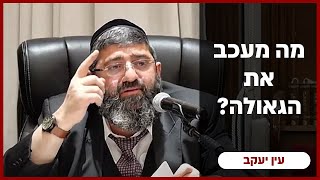 הרב אייל עמרמי -א' ראש חודש ניסן תשפ"ה [30.03.25] (הרב אייל עמרמי) - התמונה מוצגת ישירות מתוך אתר האינטרנט יוטיוב. זכויות היוצרים בתמונה שייכות ליוצרה. קישור קרדיט למקור התוכן נמצא בתוך דף הסרטון