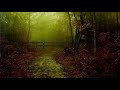 2 Hours Rain Flute Of North Americans Native American Flute Most Amazing Relaxing Music Video