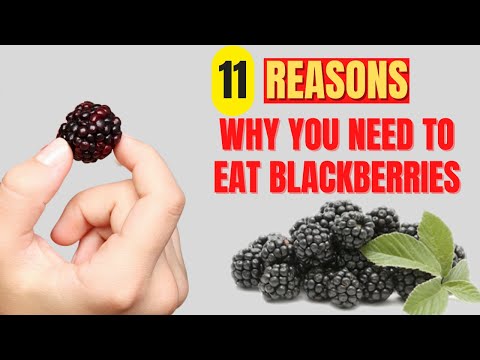 Blackberries Benefits: 11 Amazing Health Benefits Of Blackberries