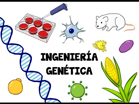 Ingeniería genética (Cuéntaselo a tus padres)