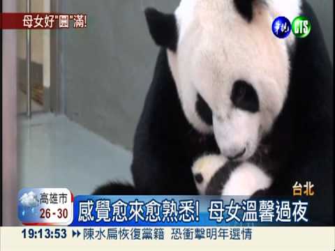 重逢第一夜! 圓圓母女倆攬牢牢