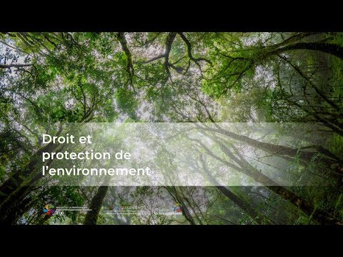 download lagu mp3 mp4 Mooc Environnement, download lagu Mooc Environnement gratis, unduh video klip Mooc Environnement