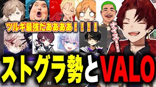 ストグラ勢とのVALOカスタムで大活躍するツルギダイジェスト【柊ツルギ/叶/ありけん/ゼルク/伊達咲政宗/こうまい/ごつちゃんマイキー/する蔵/にょす/わきを/切り抜き】